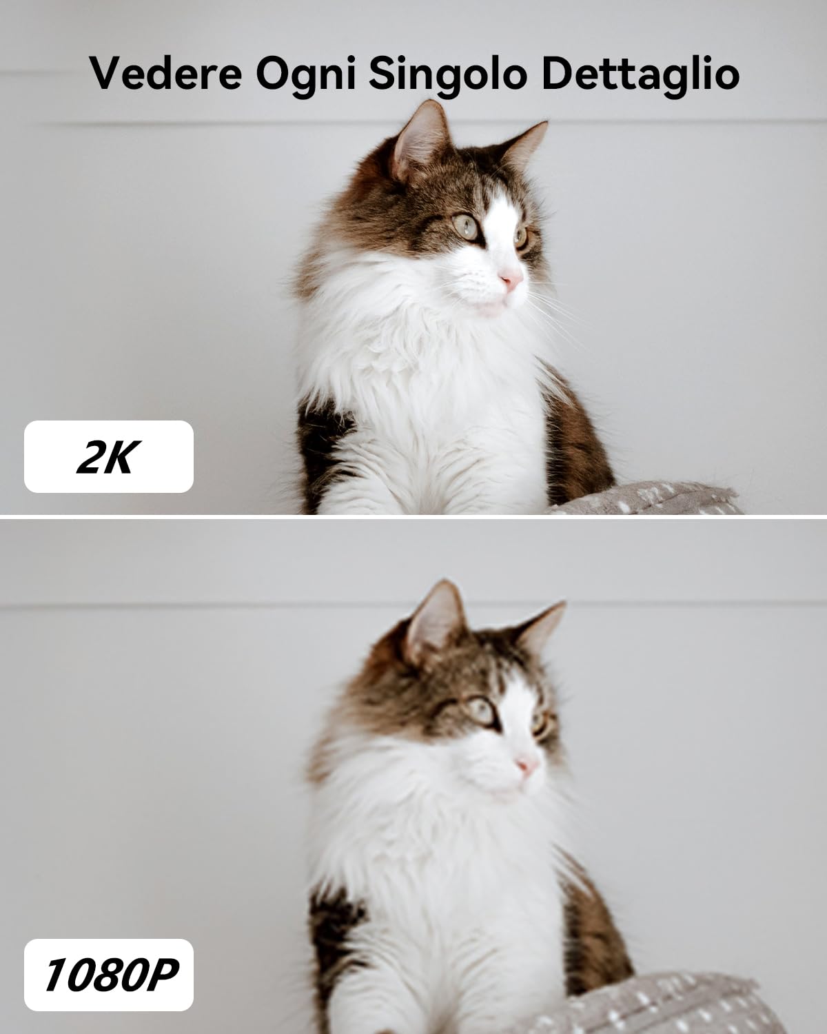 Imou 3MP Telecamera Wi-Fi Interno, 2K Videocamera di Sorveglianza, Tracciamento del Movimento con Rilevamento Umano, Audio Bidirezionale, 2,4ghz