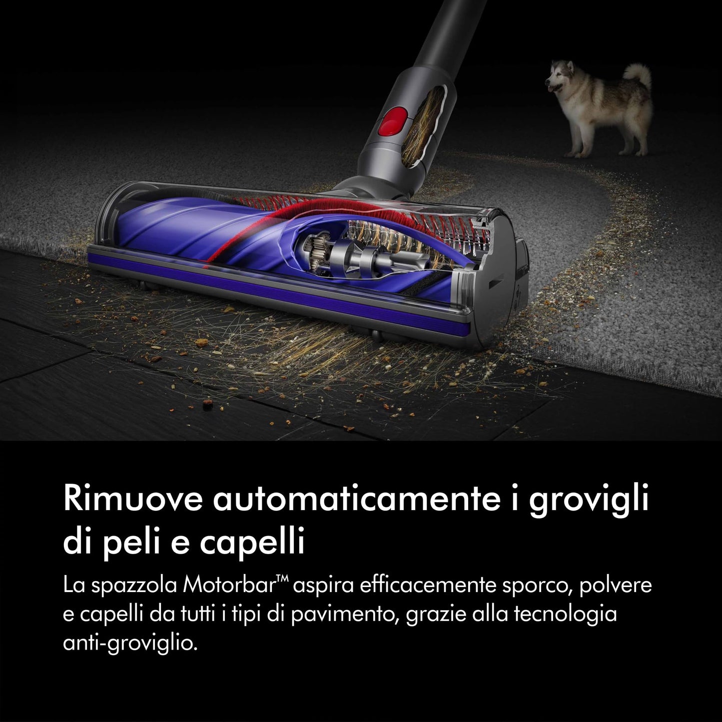 Dyson V8 Absolute™ Aspirapolvere senza filo – 115 AW,40 minuti di autonomia,Spazzola Motorbar anti groviglio, Spazzola a rullo morbido,bocchetta a lancia,stazione di ricarica a muro,Argento/Giallo